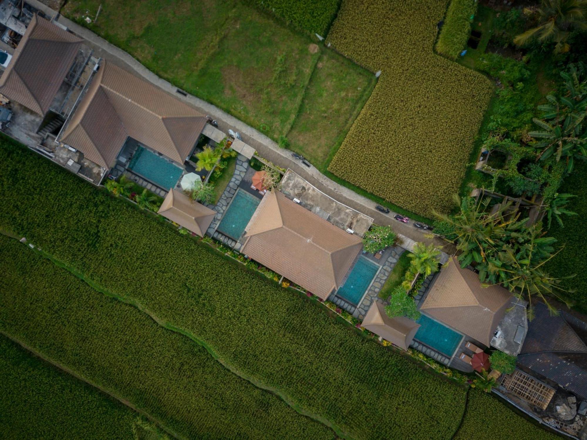 Happy Honeymoon Private Villa Ubud  Exterior photo